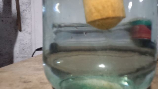 пыление планктона!!! смотреть онлайн