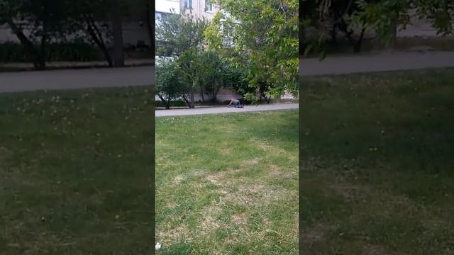 Мега ржач.Пьяный ползёт смотреть онлайн