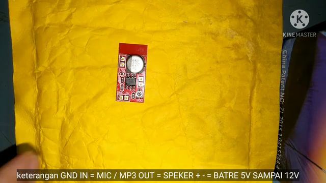 Adawnshbhyu Mikrofon Mini Elektrik Mikro Amplifier Dc 5v-12v смотреть онлайн