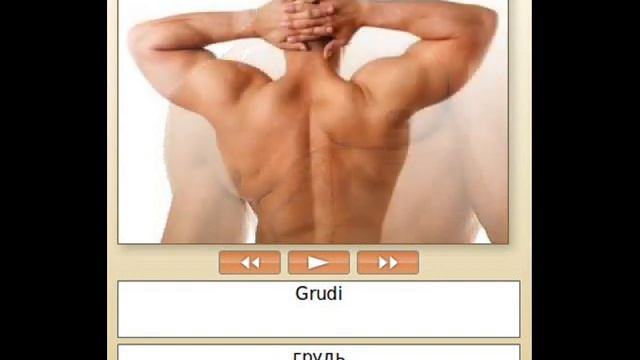 Сербский. В2. 202-10-4. Словарь - Названия частей тела.