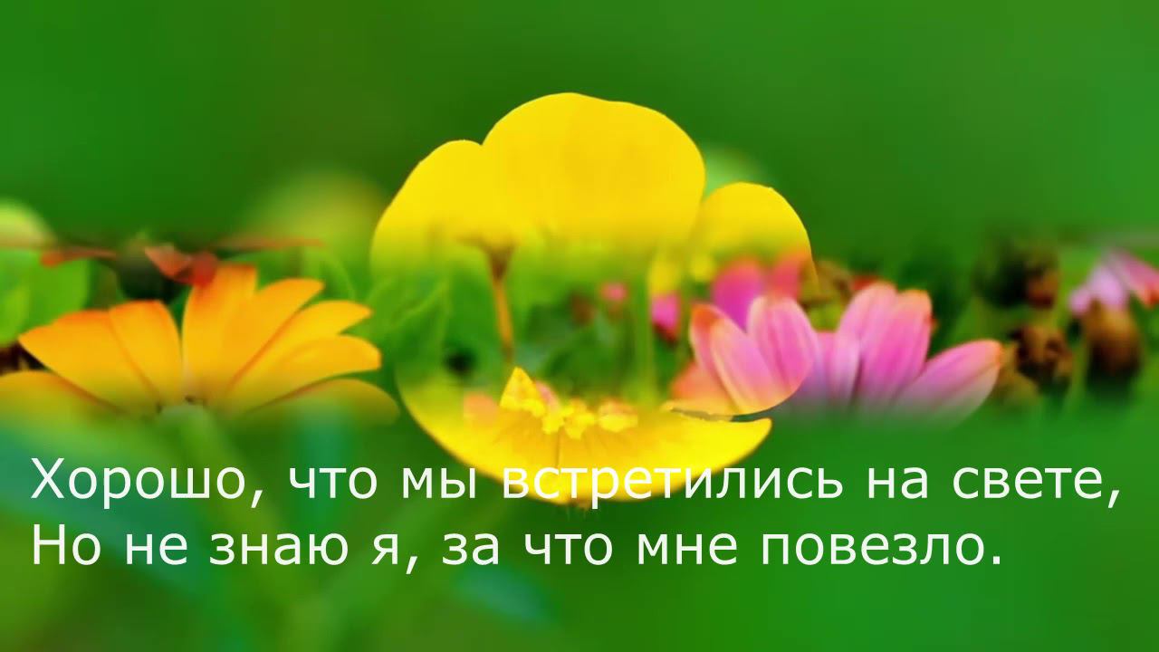 Роберт Рождественский - Люблю тебя смотреть онлайн