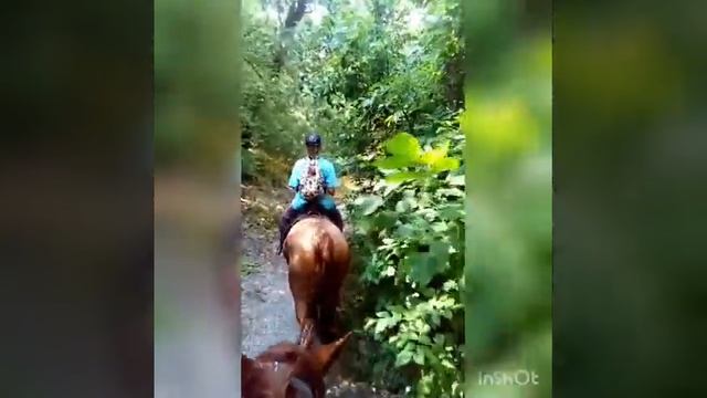 Прогулка на лошадях в Сукко 6часов/25км смотреть онлайн