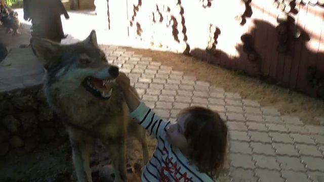 ЦАРСТВО БЕРЕНДЕЕВО! Знакомимся с Краснодарским Краем. смотреть онлайн