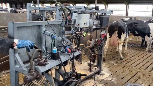 Pretty Girl Farm 2023 #withme Farm Modern Harvester Mashines Automatic Milking