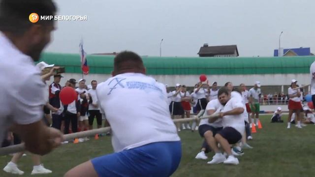 Как прошёл День физкультурника в Губкине смотреть онлайн