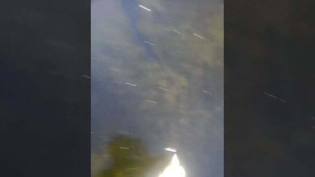 Полы 7D новинка смотреть онлайн