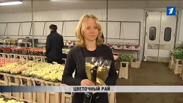 ПБК: Какие цветы предпочитают дарить мужчины в женский праздник смотреть онлайн