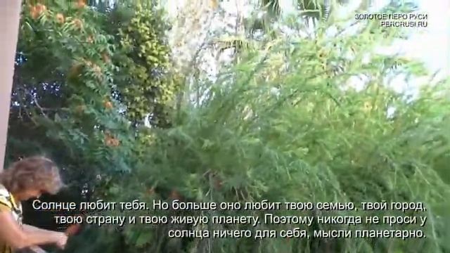 Заповеди солнца смотреть онлайн