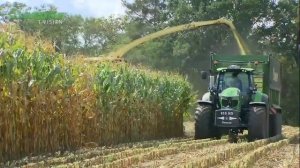 Кормоуборочный комбайн KRONE BiG X 680 1180 Кроне-Сервис