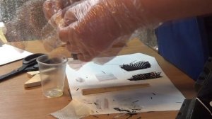 Ремонт карбонового  лыжного ботинка rossignol