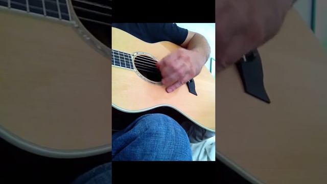 Yolly Taylor GS5 w/k&k pickup смотреть онлайн