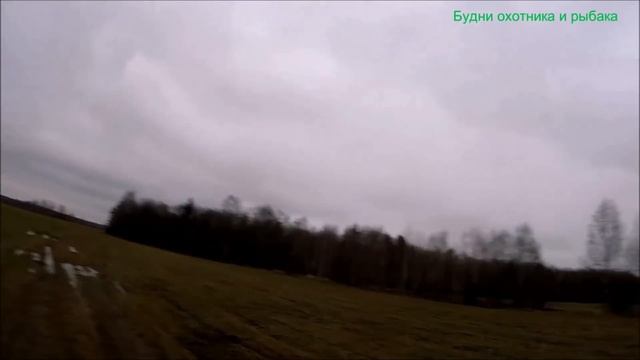 Охота на лису с подхода (Будни охотника и рыбака) смотреть онлайн