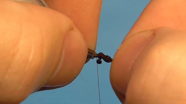 Куколка ручейника/Caddis pupa смотреть онлайн