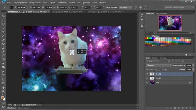 Photoshop: Кот смотреть онлайн