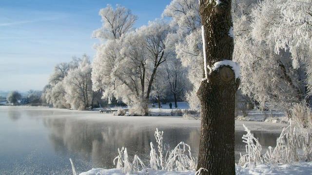 "Мама! Глянь-ка из окошка — знать, вчера недаром кошка умывала нос" смотреть онлайн