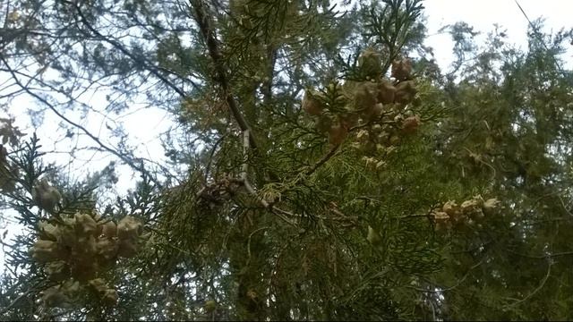 Как сделать свою жизнь сегодня лучше, чем вчера? смотреть онлайн