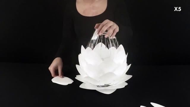 VITA Conia от Evolutionlight.ru смотреть онлайн