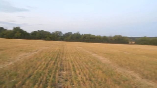 Мачетте ММ60 одна пара смотреть онлайн