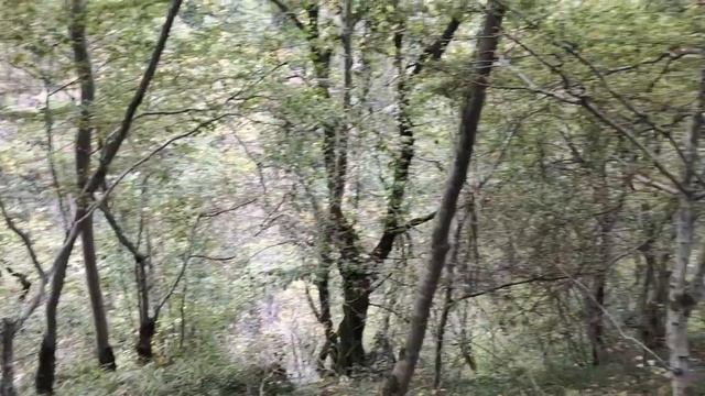 Trip to Okatse Canyon (kutaisi) from tbilisi !! GEORGIA one of the most underrated country in EUROP смотреть онлайн