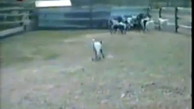 run and die little goat смотреть онлайн