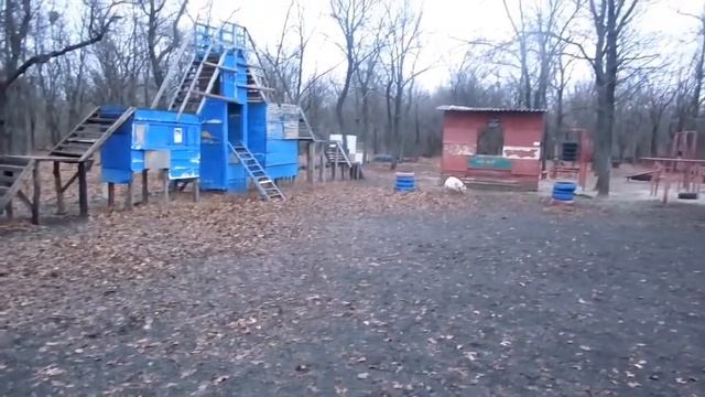Гиперактивный лабрадор. смотреть онлайн
