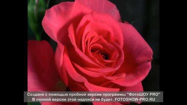 ЛЕВОН ОГАНЕСЯН(ТАПЛО ТБИЛИСКИЙ)-ВАРДЕР БЕРЕМ 2016г