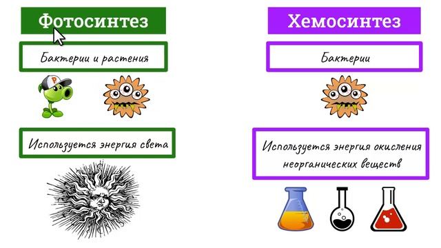Сравнение ФОТОСИНТЕЗА и ХЕМОСИНТЕЗА смотреть онлайн