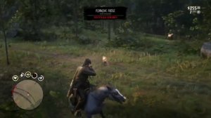 Где найти пуму в Red Dead Redemption 2 ! Превосходная шкура !