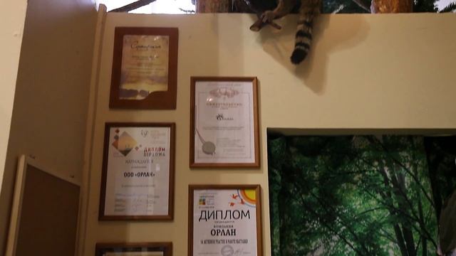 Магазин Профессиональная экипировка для охоты рыбалки и кемпинга https://shaman-hsn.ru/ смотреть онлайн