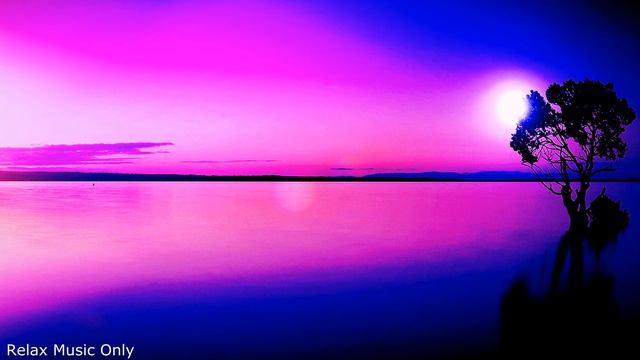 1 hour Soft Piano Background Music For Evening Relaxation , 4K Video. смотреть онлайн