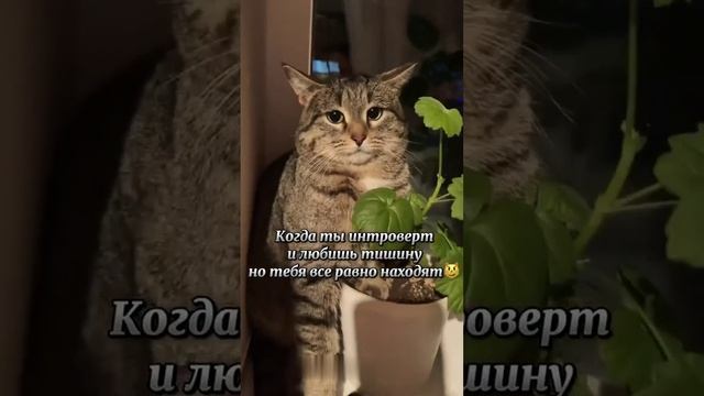 Как-то так смотреть онлайн