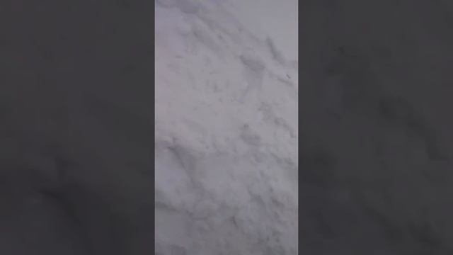 Прогулка на Дыроватик 11.01.2014 смотреть онлайн