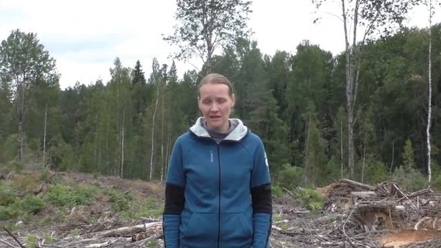 Сколько растет лес смотреть онлайн