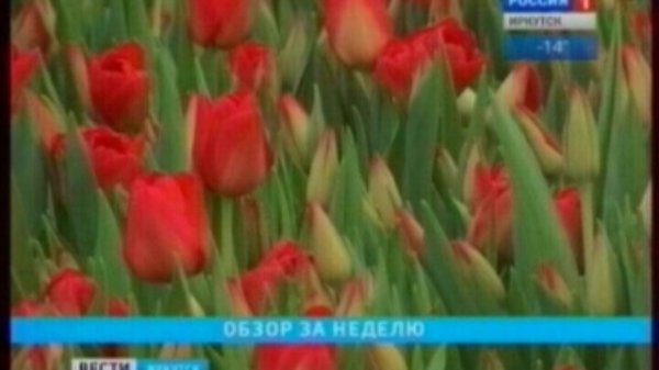 "Вести-Иркутск. События недели"