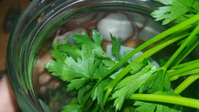 Комедийные Скетчи