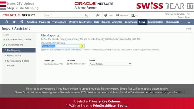NetSuite Tutorial: How to import CSV (Excel) files смотреть онлайн