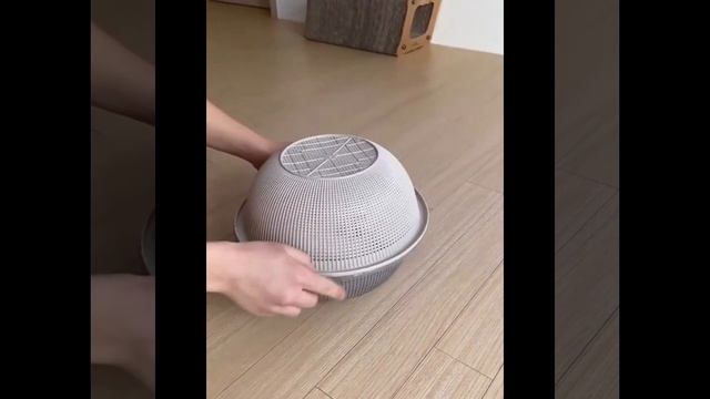 кот Загадочное явление