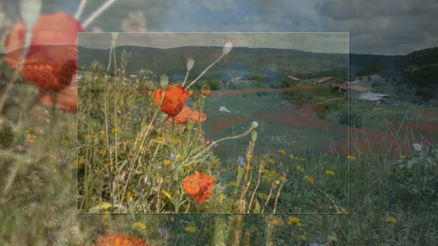 Маковый перезвон смотреть онлайн