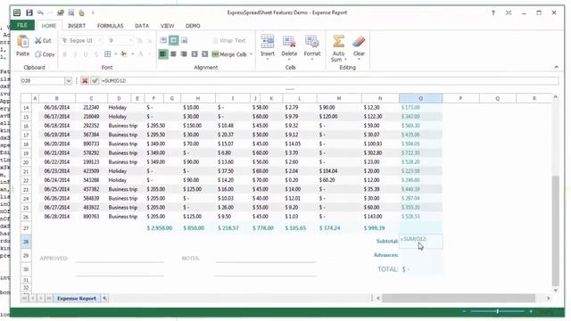 Introduction To DevExpress VCL Spreadsheet