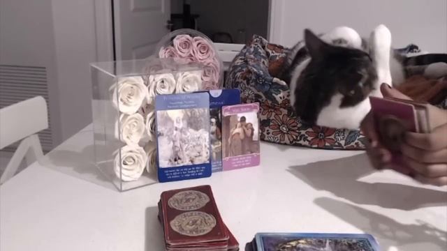 They WANT TO MAKE A MOVE so BAD, but you have WALLS UP. Clear your ENERGY смотреть онлайн