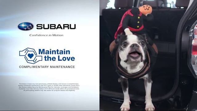 New 2019 Subaru Outback October Special @ Hudiburg Subaru in Oklahoma City, Oklahoma смотреть онлайн