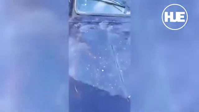 медведь в Красноярске смотреть онлайн