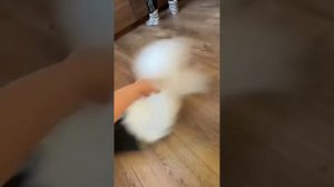 #shorts прикол №112