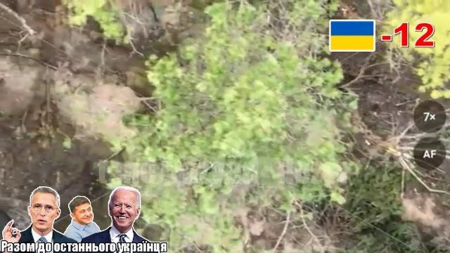 Украинская версия "спокойной ночи" смотреть онлайн