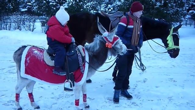Дети катаются на лошадях смотреть онлайн