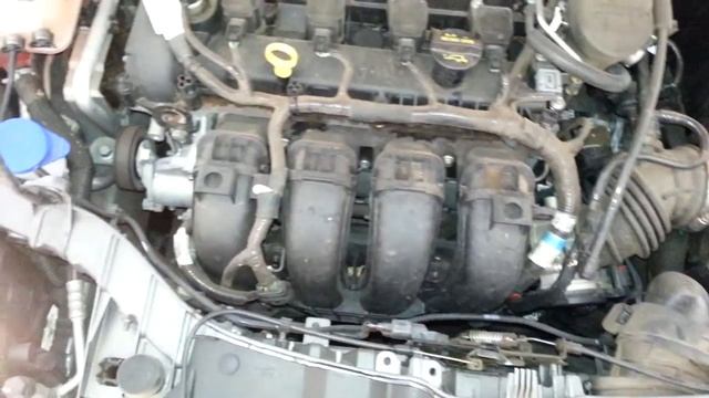 2012 Ford Focus SEL - Duratec 20 2.0L Ti-VCT GDI I4 Engine Idling After Oil Change смотреть онлайн