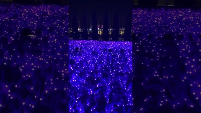 в парке Галицкого. смотреть онлайн