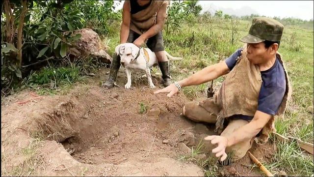 6 Brave Hunters With Pitbull Dog Confront 2 Giant Pythons Rescuing Pretty Girl. смотреть онлайн