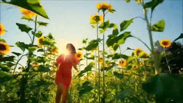 Её губы ждали ветра - Елена она же Садовская смотреть онлайн