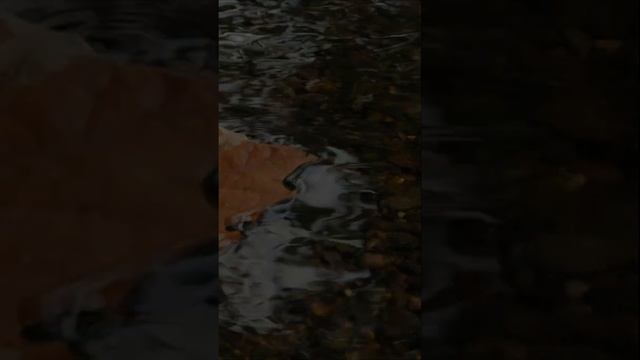 Стихи до слез, душевные стихи ✍ смотреть онлайн